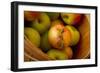 Wooden Bucket Filled with Freshly Picked Gravenstein Apples from a Local Oregon Farm-Cynthia Classen-Framed Photographic Print