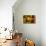 Wooden Bucket Filled with Freshly Picked Gravenstein Apples from a Local Oregon Farm-Cynthia Classen-Mounted Photographic Print displayed on a wall