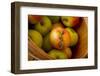 Wooden Bucket Filled with Freshly Picked Gravenstein Apples from a Local Oregon Farm-Cynthia Classen-Framed Photographic Print