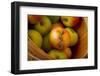 Wooden Bucket Filled with Freshly Picked Gravenstein Apples from a Local Oregon Farm-Cynthia Classen-Framed Photographic Print