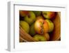 Wooden Bucket Filled with Freshly Picked Gravenstein Apples from a Local Oregon Farm-Cynthia Classen-Framed Photographic Print