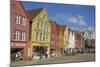 Wooden Buildings on the Waterfront, Bryggen, Vagen Harbour, UNESCO Site, Bergen, Hordaland, Norway-Gary Cook-Mounted Photographic Print