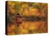 Wooden Cabin on Lake in Autumn-Robert Llewellyn-Stretched Canvas