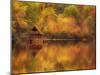 Wooden Cabin on Lake in Autumn-Robert Llewellyn-Mounted Premium Photographic Print