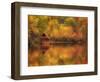 Wooden Cabin on Lake in Autumn-Robert Llewellyn-Framed Photographic Print