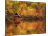 Wooden Cabin on Lake in Autumn-Robert Llewellyn-Mounted Photographic Print