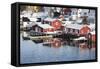 Wooden Cabins at the Waters Edge in the Town of Raine in the Lofoten Islands, Arctic, Norway-David Clapp-Framed Stretched Canvas