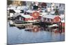 Wooden Cabins at the Waters Edge in the Town of Raine in the Lofoten Islands, Arctic, Norway-David Clapp-Mounted Photographic Print