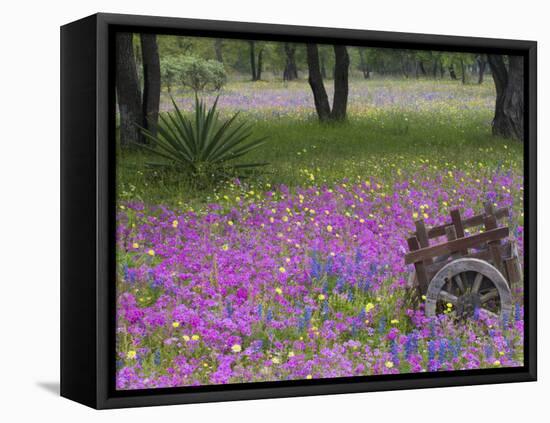 Wooden Cart in Field of Phlox, Blue Bonnets, and Oak Trees, Near Devine, Texas, USA-Darrell Gulin-Framed Stretched Canvas