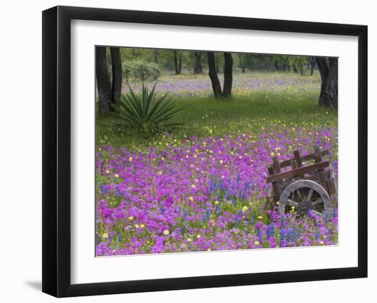 Wooden Cart in Field of Phlox, Blue Bonnets, and Oak Trees, Near Devine, Texas, USA-Darrell Gulin-Framed Photographic Print