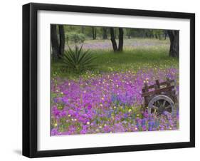 Wooden Cart in Field of Phlox, Blue Bonnets, and Oak Trees, Near Devine, Texas, USA-Darrell Gulin-Framed Photographic Print