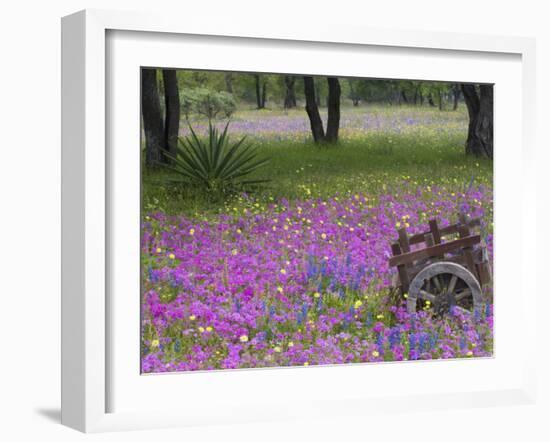 Wooden Cart in Field of Phlox, Blue Bonnets, and Oak Trees, Near Devine, Texas, USA-Darrell Gulin-Framed Photographic Print