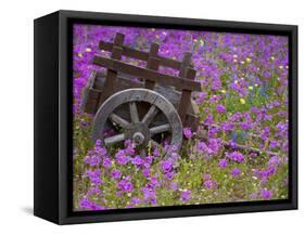 Wooden Cart in Field of Phlox, Blue Bonnets, and Oak Trees, Near Devine, Texas, USA-Darrell Gulin-Framed Stretched Canvas