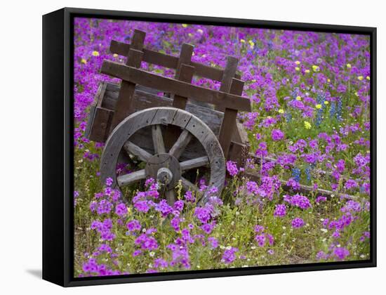 Wooden Cart in Field of Phlox, Blue Bonnets, and Oak Trees, Near Devine, Texas, USA-Darrell Gulin-Framed Stretched Canvas