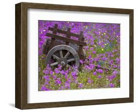 Wooden Cart in Field of Phlox, Blue Bonnets, and Oak Trees, Near Devine, Texas, USA-Darrell Gulin-Framed Photographic Print