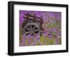 Wooden Cart in Field of Phlox, Blue Bonnets, and Oak Trees, Near Devine, Texas, USA-Darrell Gulin-Framed Photographic Print