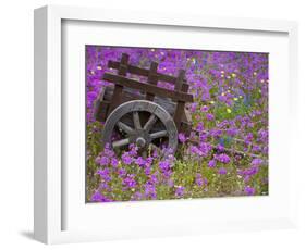 Wooden Cart in Field of Phlox, Blue Bonnets, and Oak Trees, Near Devine, Texas, USA-Darrell Gulin-Framed Photographic Print