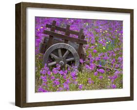 Wooden Cart in Field of Phlox, Blue Bonnets, and Oak Trees, Near Devine, Texas, USA-Darrell Gulin-Framed Photographic Print