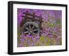 Wooden Cart in Field of Phlox, Blue Bonnets, and Oak Trees, Near Devine, Texas, USA-Darrell Gulin-Framed Photographic Print