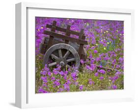 Wooden Cart in Field of Phlox, Blue Bonnets, and Oak Trees, Near Devine, Texas, USA-Darrell Gulin-Framed Photographic Print