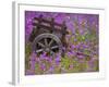 Wooden Cart in Field of Phlox, Blue Bonnets, and Oak Trees, Near Devine, Texas, USA-Darrell Gulin-Framed Photographic Print