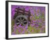 Wooden Cart in Field of Phlox, Blue Bonnets, and Oak Trees, Near Devine, Texas, USA-Darrell Gulin-Framed Photographic Print