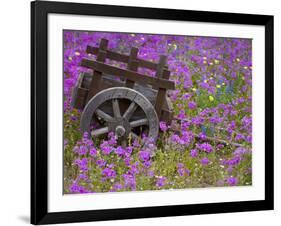 Wooden Cart in Field of Phlox, Blue Bonnets, and Oak Trees, Near Devine, Texas, USA-Darrell Gulin-Framed Photographic Print