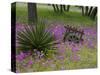 Wooden Cart in Field of Phlox, Blue Bonnets, and Oak Trees, Near Devine, Texas, USA-Darrell Gulin-Stretched Canvas