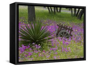 Wooden Cart in Field of Phlox, Blue Bonnets, and Oak Trees, Near Devine, Texas, USA-Darrell Gulin-Framed Stretched Canvas