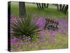 Wooden Cart in Field of Phlox, Blue Bonnets, and Oak Trees, Near Devine, Texas, USA-Darrell Gulin-Stretched Canvas