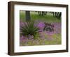 Wooden Cart in Field of Phlox, Blue Bonnets, and Oak Trees, Near Devine, Texas, USA-Darrell Gulin-Framed Photographic Print