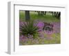 Wooden Cart in Field of Phlox, Blue Bonnets, and Oak Trees, Near Devine, Texas, USA-Darrell Gulin-Framed Photographic Print