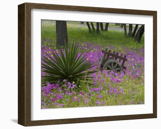 Wooden Cart in Field of Phlox, Blue Bonnets, and Oak Trees, Near Devine, Texas, USA-Darrell Gulin-Framed Photographic Print