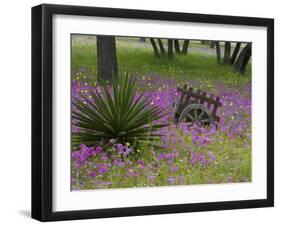 Wooden Cart in Field of Phlox, Blue Bonnets, and Oak Trees, Near Devine, Texas, USA-Darrell Gulin-Framed Photographic Print