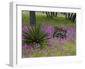 Wooden Cart in Field of Phlox, Blue Bonnets, and Oak Trees, Near Devine, Texas, USA-Darrell Gulin-Framed Photographic Print