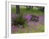 Wooden Cart in Field of Phlox, Blue Bonnets, and Oak Trees, Near Devine, Texas, USA-Darrell Gulin-Framed Photographic Print