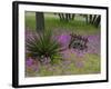 Wooden Cart in Field of Phlox, Blue Bonnets, and Oak Trees, Near Devine, Texas, USA-Darrell Gulin-Framed Photographic Print