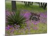 Wooden Cart in Field of Phlox, Blue Bonnets, and Oak Trees, Near Devine, Texas, USA-Darrell Gulin-Mounted Photographic Print