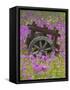 Wooden Cart in Field of Phlox, Blue Bonnets, and Oak Trees, Near Devine, Texas, USA-Darrell Gulin-Framed Stretched Canvas