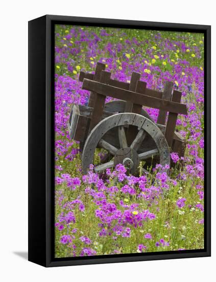 Wooden Cart in Field of Phlox, Blue Bonnets, and Oak Trees, Near Devine, Texas, USA-Darrell Gulin-Framed Stretched Canvas