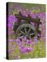 Wooden Cart in Field of Phlox, Blue Bonnets, and Oak Trees, Near Devine, Texas, USA-Darrell Gulin-Stretched Canvas