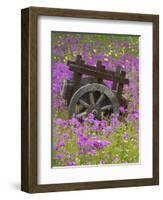 Wooden Cart in Field of Phlox, Blue Bonnets, and Oak Trees, Near Devine, Texas, USA-Darrell Gulin-Framed Photographic Print