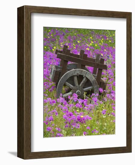 Wooden Cart in Field of Phlox, Blue Bonnets, and Oak Trees, Near Devine, Texas, USA-Darrell Gulin-Framed Photographic Print