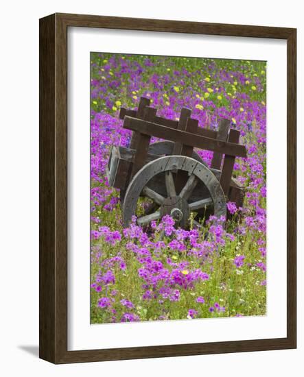 Wooden Cart in Field of Phlox, Blue Bonnets, and Oak Trees, Near Devine, Texas, USA-Darrell Gulin-Framed Photographic Print