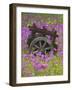 Wooden Cart in Field of Phlox, Blue Bonnets, and Oak Trees, Near Devine, Texas, USA-Darrell Gulin-Framed Photographic Print