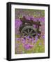 Wooden Cart in Field of Phlox, Blue Bonnets, and Oak Trees, Near Devine, Texas, USA-Darrell Gulin-Framed Photographic Print