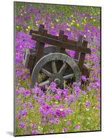 Wooden Cart in Field of Phlox, Blue Bonnets, and Oak Trees, Near Devine, Texas, USA-Darrell Gulin-Mounted Photographic Print