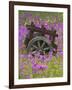 Wooden Cart in Field of Phlox, Blue Bonnets, and Oak Trees, Near Devine, Texas, USA-Darrell Gulin-Framed Photographic Print