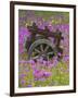 Wooden Cart in Field of Phlox, Blue Bonnets, and Oak Trees, Near Devine, Texas, USA-Darrell Gulin-Framed Photographic Print