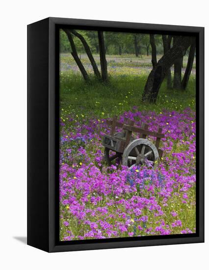 Wooden Cart in Field of Phlox, Blue Bonnets, and Oak Trees, Near Devine, Texas, USA-Darrell Gulin-Framed Stretched Canvas